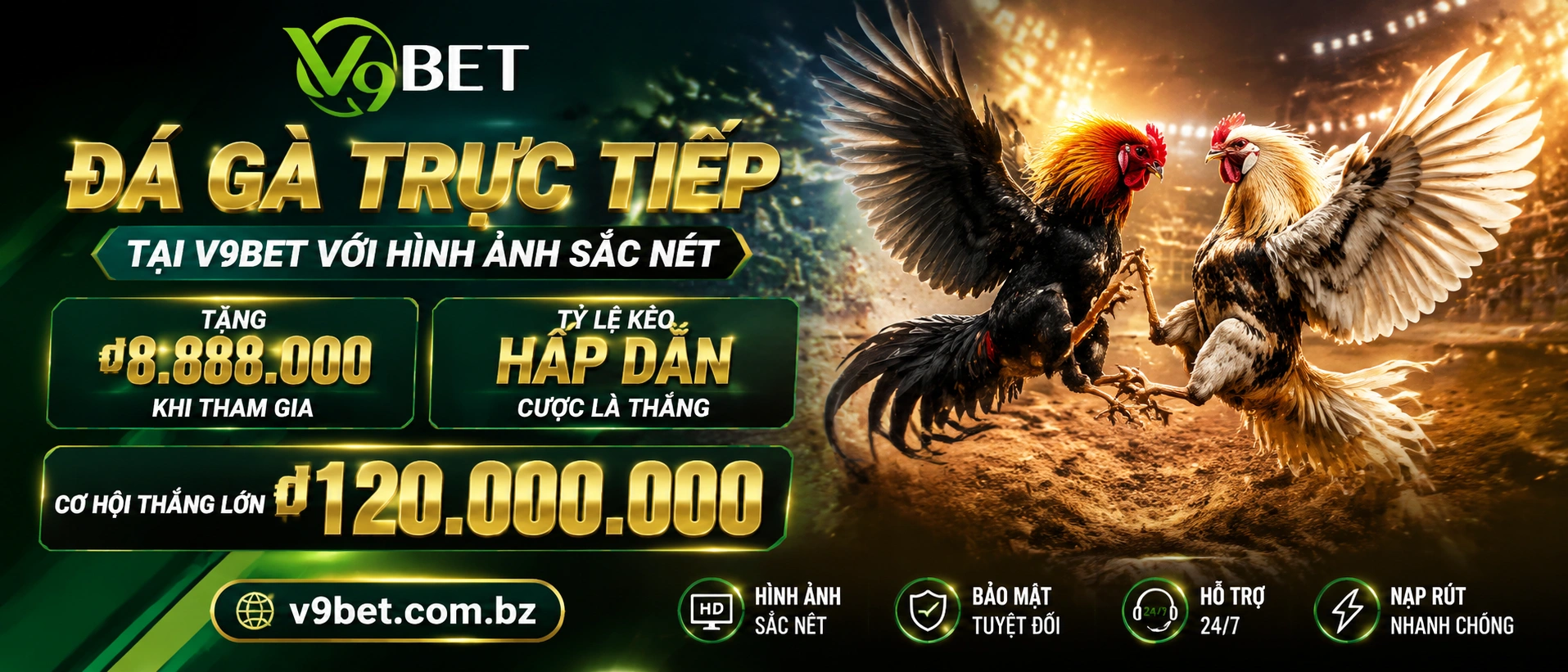 V9Bet Casino, No Hu, Ban Ca Live - Rut Tien Nhanh 58 Card Games